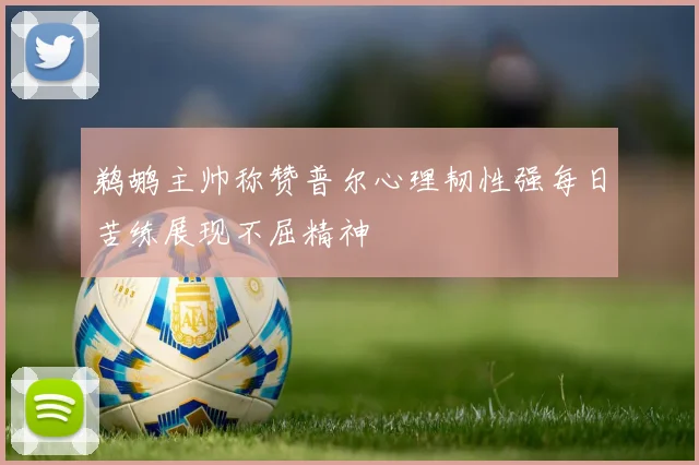 鹈鹕主帅称赞普尔心理韧性强每日苦练展现不屈精神